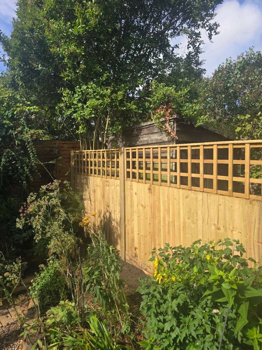 Featheredge with trellis, by Fencefix